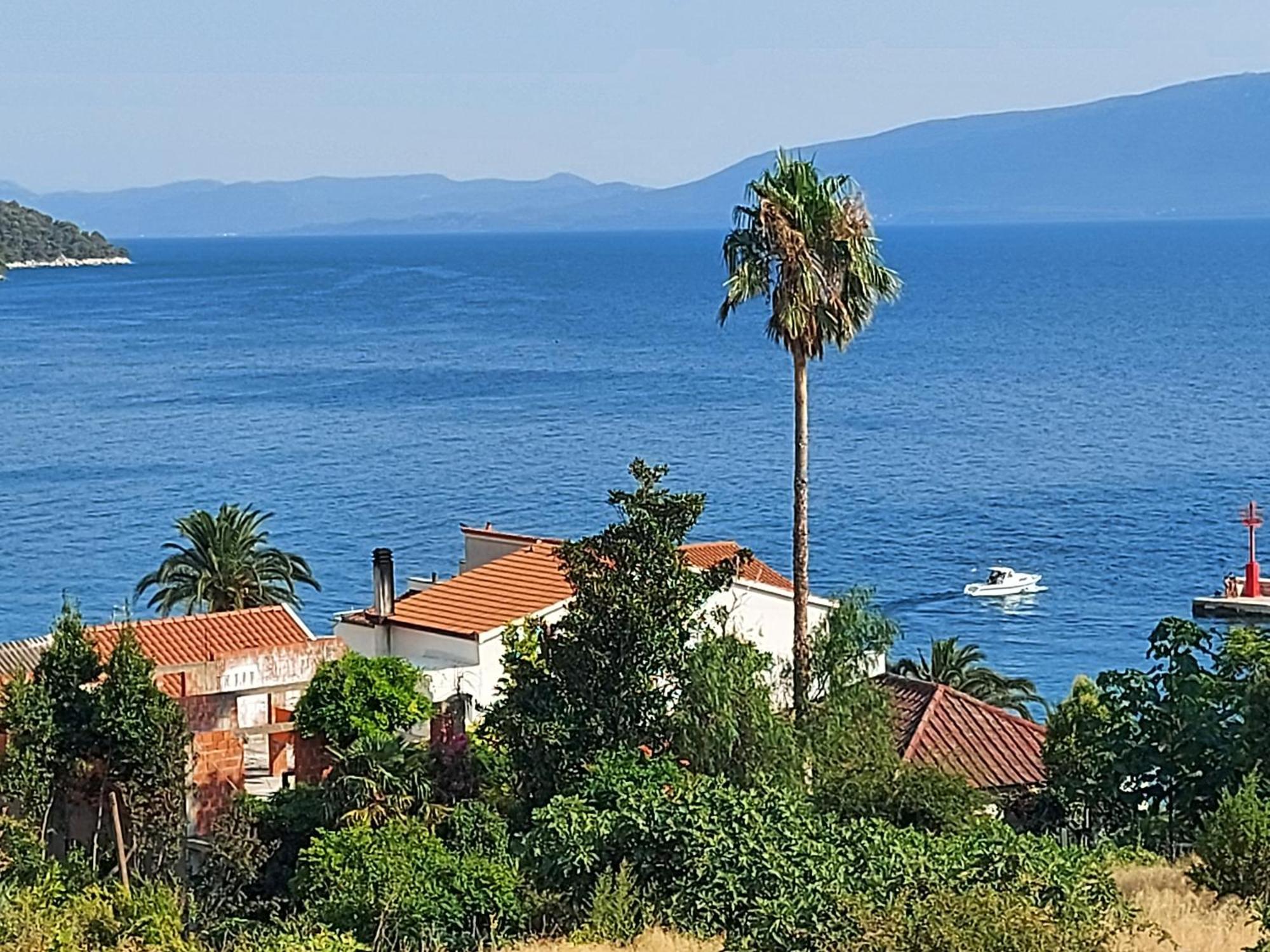 Apartment Ana - Gradac グラダツ エクステリア 写真